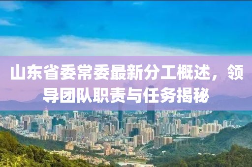 山東省委常委最新分工概述，領(lǐng)導(dǎo)團(tuán)隊(duì)職責(zé)與任務(wù)揭秘