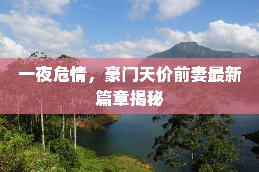 一夜危情，豪門天價前妻最新篇章揭秘