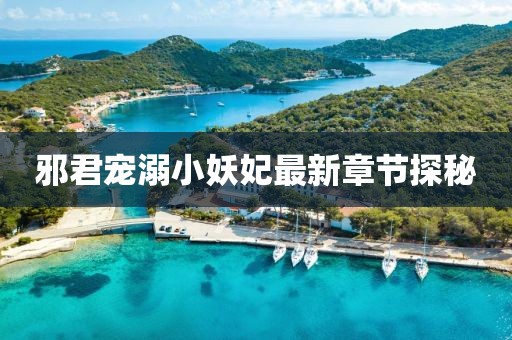 邪君寵溺小妖妃最新章節(jié)探秘