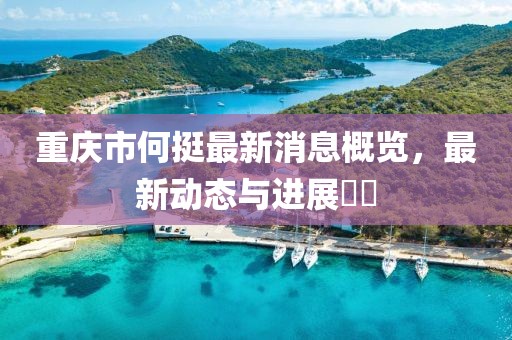 重慶市何挺最新消息概覽，最新動態(tài)與進展??