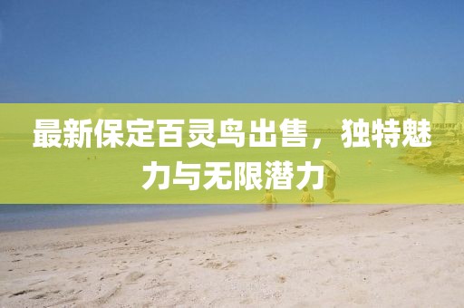 最新保定百靈鳥(niǎo)出售，獨(dú)特魅力與無(wú)限潛力