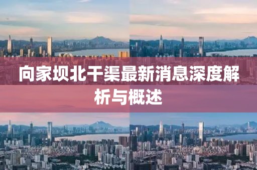 向家壩北干渠最新消息深度解析與概述