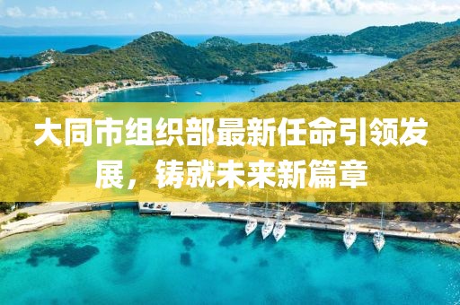 大同市組織部最新任命引領(lǐng)發(fā)展，鑄就未來新篇章