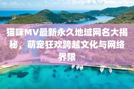 貓咪MV最新永久地域網(wǎng)名大揭秘，萌寵狂歡跨越文化與網(wǎng)絡(luò)界限