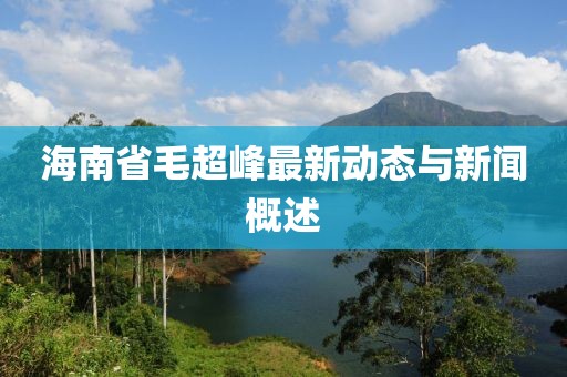 海南省毛超峰最新動(dòng)態(tài)與新聞概述