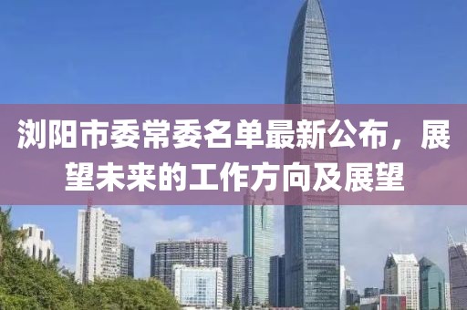 瀏陽市委常委名單最新公布，展望未來的工作方向及展望