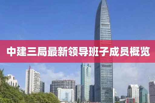 中建三局最新領(lǐng)導班子成員概覽