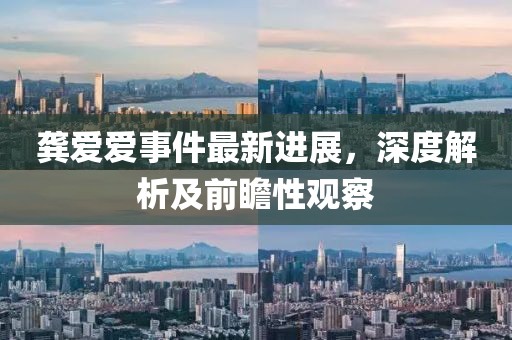 龔愛愛事件最新進(jìn)展，深度解析及前瞻性觀察