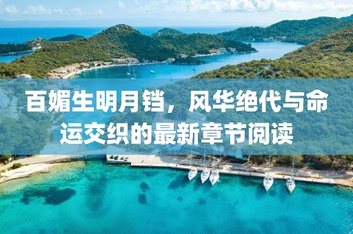 百媚生明月鐺，風(fēng)華絕代與命運交織的最新章節(jié)閱讀