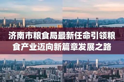 濟南市糧食局最新任命引領糧食產業(yè)邁向新篇章發(fā)展之路