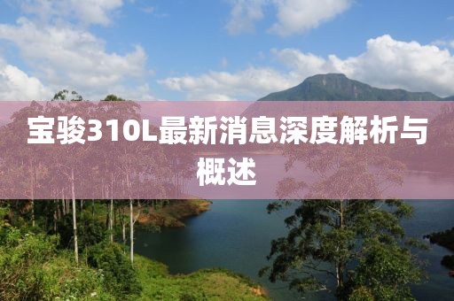 寶駿310L最新消息深度解析與概述