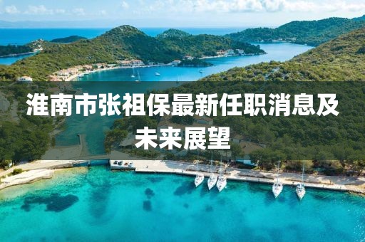 淮南市張祖保最新任職消息及未來展望