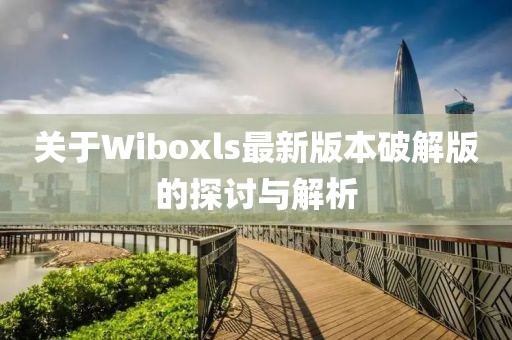 關于Wiboxls最新版本破解版的探討與解析