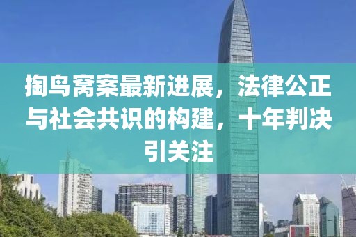 掏鳥窩案最新進(jìn)展，法律公正與社會(huì)共識(shí)的構(gòu)建，十年判決引關(guān)注