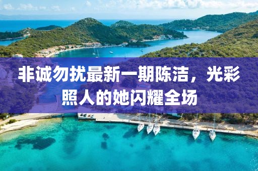 非誠勿擾最新一期陳潔，光彩照人的她閃耀全場