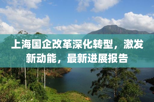 上海國企改革深化轉(zhuǎn)型，激發(fā)新動能，最新進展報告