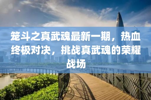 籠斗之真武魂最新一期，熱血終極對決，挑戰(zhàn)真武魂的榮耀戰(zhàn)場