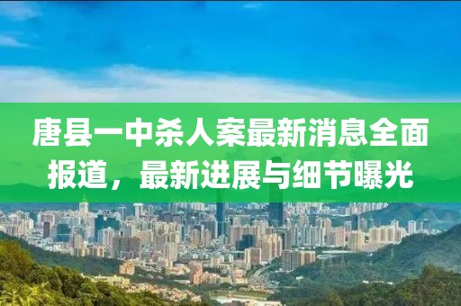 唐縣一中殺人案最新消息全面報道，最新進展與細節(jié)曝光