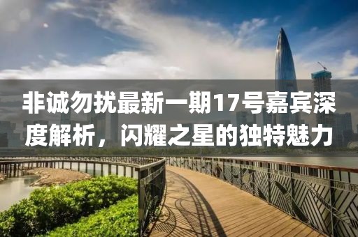 非誠勿擾最新一期17號嘉賓深度解析，閃耀之星的獨(dú)特魅力