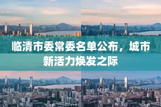 臨清市委常委名單公布，城市新活力煥發(fā)之際