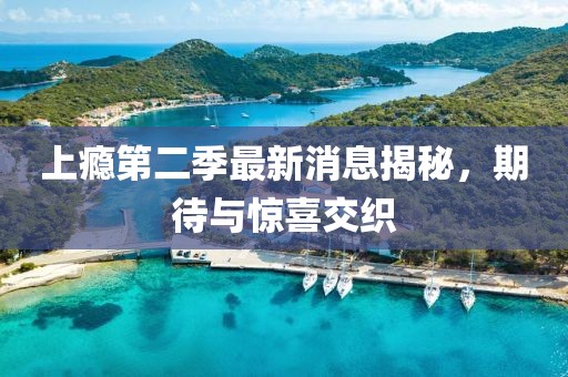 上癮第二季最新消息揭秘，期待與驚喜交織