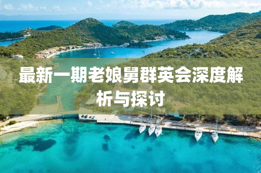 最新一期老娘舅群英會(huì)深度解析與探討