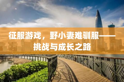 征服游戲，野小妻難馴服——挑戰(zhàn)與成長之路