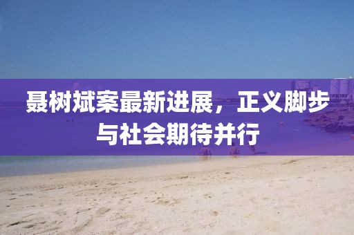 聶樹斌案最新進(jìn)展，正義腳步與社會期待并行