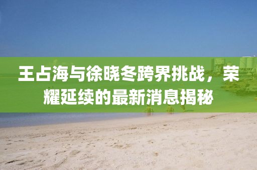 王占海與徐曉冬跨界挑戰(zhàn)，榮耀延續(xù)的最新消息揭秘