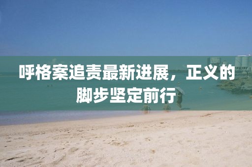 呼格案追責最新進展，正義的腳步堅定前行