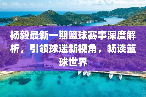 楊毅最新一期籃球賽事深度解析，引領(lǐng)球迷新視角，暢談籃球世界