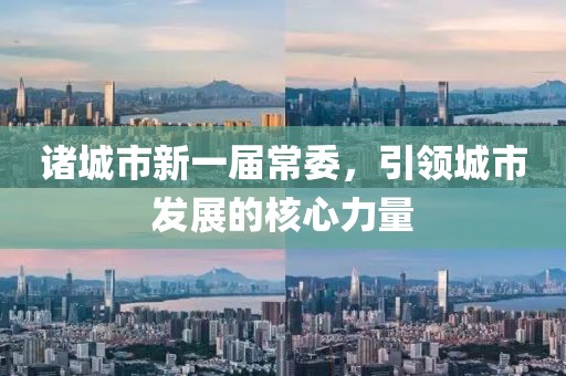 諸城市新一屆常委，引領(lǐng)城市發(fā)展的核心力量