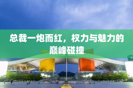 總裁一炮而紅，權(quán)力與魅力的巔峰碰撞