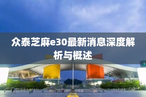 眾泰芝麻e30最新消息深度解析與概述
