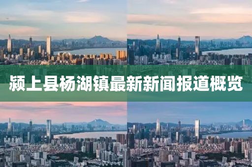 潁上縣楊湖鎮(zhèn)最新新聞報(bào)道概覽