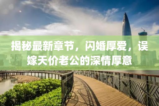 揭秘最新章節(jié)，閃婚厚愛，誤嫁天價老公的深情厚意