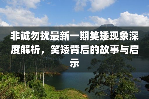 非誠(chéng)勿擾最新一期笑矮現(xiàn)象深度解析，笑矮背后的故事與啟示