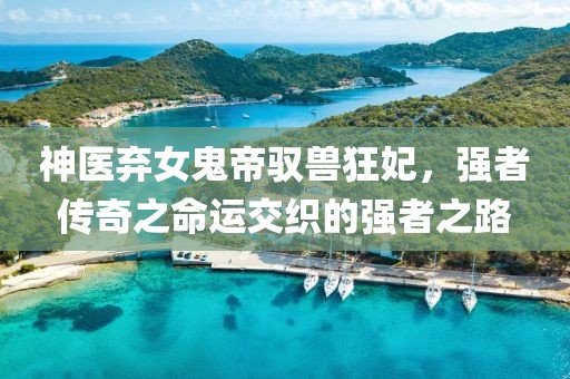 神醫(yī)棄女鬼帝馭獸狂妃，強(qiáng)者傳奇之命運(yùn)交織的強(qiáng)者之路