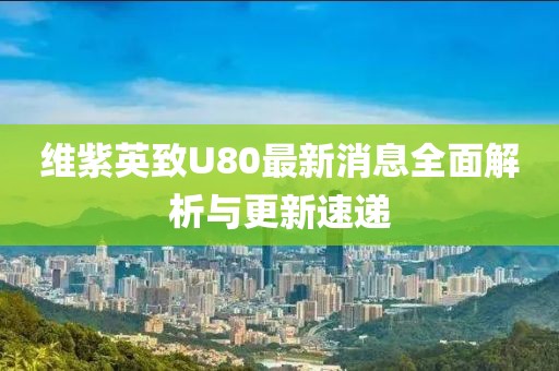 維紫英致U80最新消息全面解析與更新速遞