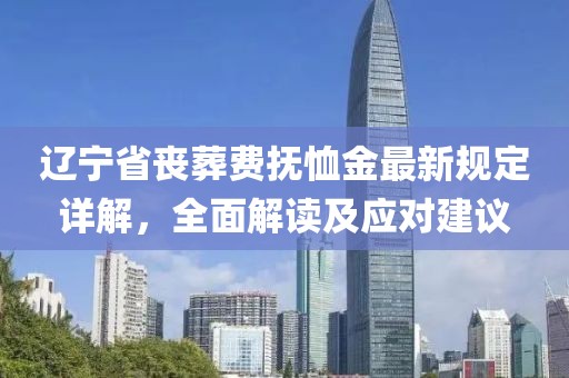 遼寧省喪葬費(fèi)撫恤金最新規(guī)定詳解，全面解讀及應(yīng)對(duì)建議