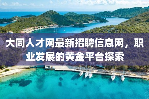 大同人才網(wǎng)最新招聘信息網(wǎng)，職業(yè)發(fā)展的黃金平臺(tái)探索