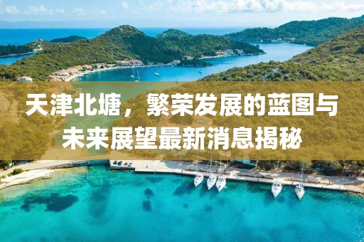 天津北塘，繁榮發(fā)展的藍圖與未來展望最新消息揭秘