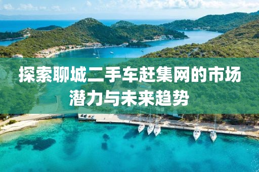 探索聊城二手車趕集網(wǎng)的市場潛力與未來趨勢