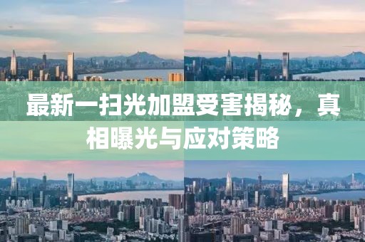 最新一掃光加盟受害揭秘，真相曝光與應(yīng)對(duì)策略