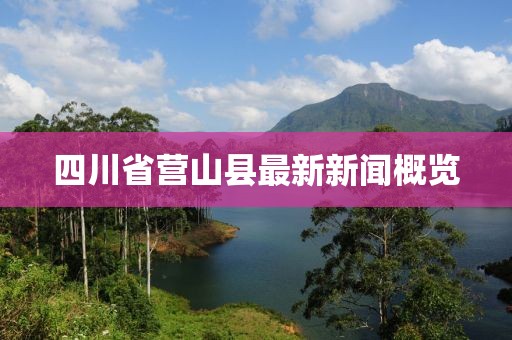 四川省營山縣最新新聞概覽