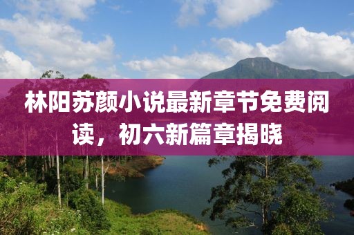 林陽(yáng)蘇顏小說最新章節(jié)免費(fèi)閱讀，初六新篇章揭曉