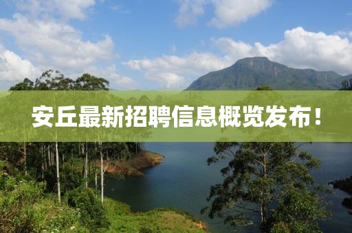 安丘最新招聘信息概覽發(fā)布！