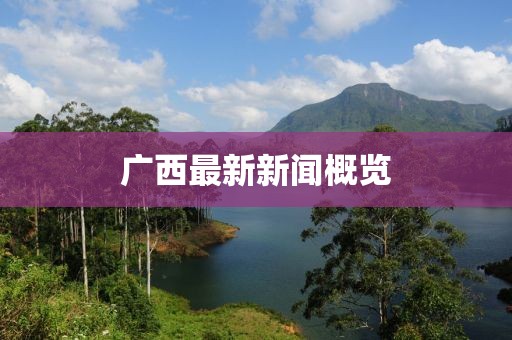 廣西最新新聞概覽