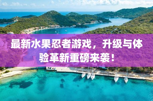 最新水果忍者游戲，升級(jí)與體驗(yàn)革新重磅來(lái)襲！