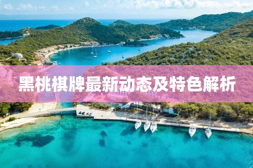 黑桃棋牌最新動(dòng)態(tài)及特色解析